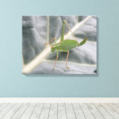 Afdrukken groen cricket Macro Canvas (Insitu (Houten vloer))