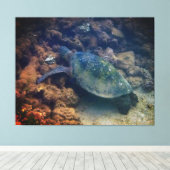 Afdrukken groen Zee schildpad (Insitu (Houten vloer))