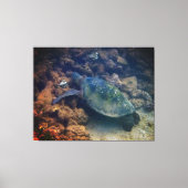 Afdrukken groen Zee schildpad (Voorkant)