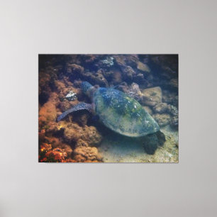 Afdrukken groen Zee schildpad
