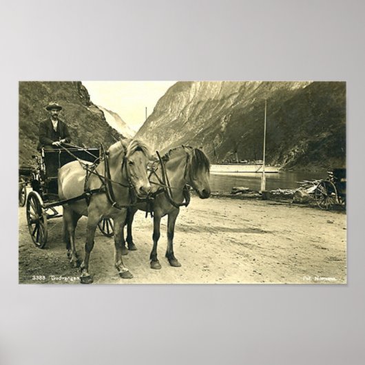 Afdrukken - Gudvangen, Noorwegen Poster (Voorkant)