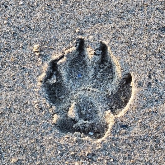AFDRUKKEN IN DE ZAND LEGPUZZEL
