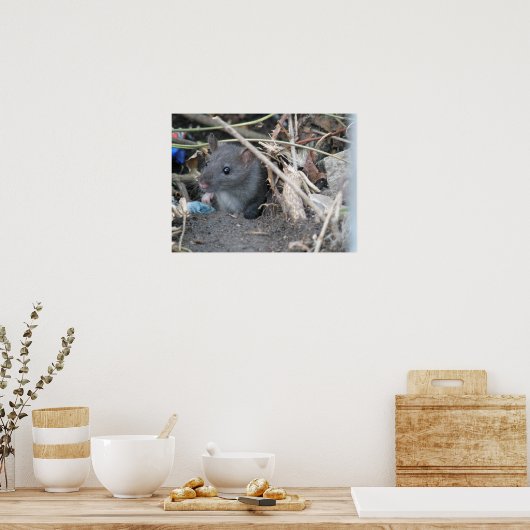 Afdrukken in een gat poster (Keuken)