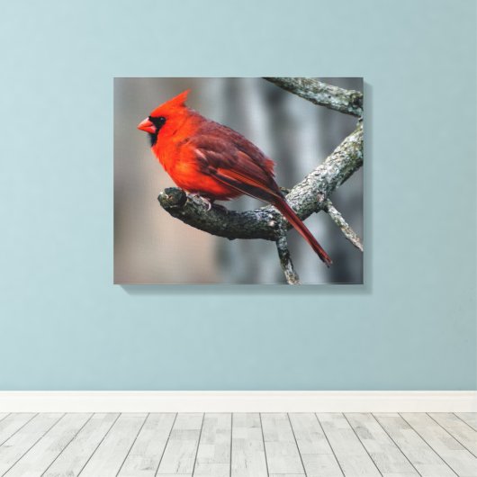 Afdrukken kardinaal canvas (Insitu (Houten vloer))