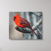 Afdrukken kardinaal canvas