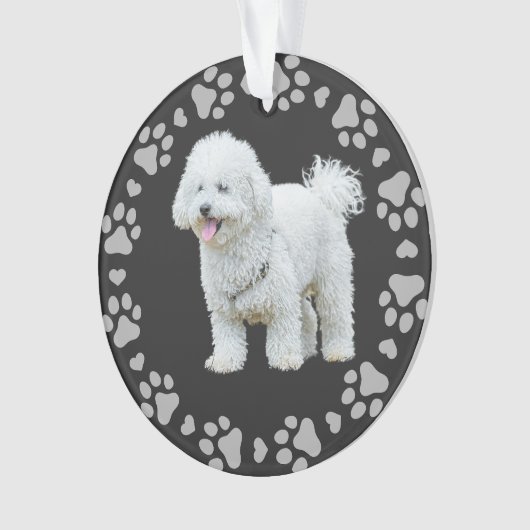 Afdrukken Lijst Aangepaste foto Ornament (voorkant)