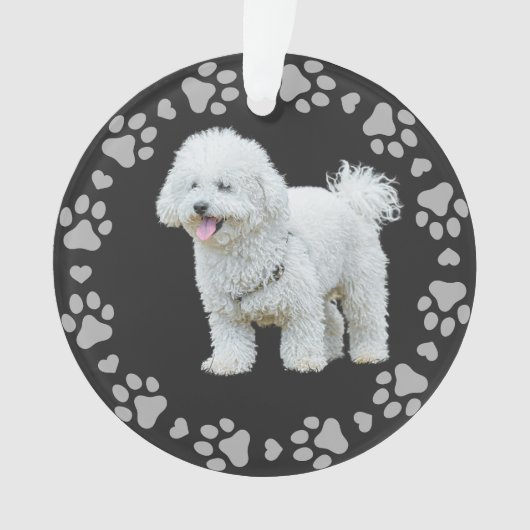 Afdrukken Lijst Aangepaste foto Ornament (voorkant)