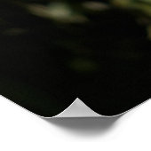 Afdrukken: Malayan Tiger Poster (Hoek)