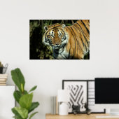 Afdrukken: Malayan Tiger Poster (Thuiskantoor)
