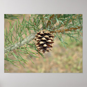 Afdrukken met één pine-kloon poster