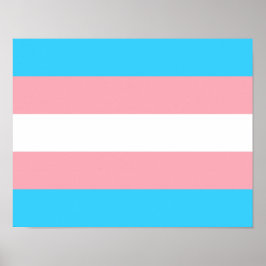 Afdrukken met transgendervlag, waardepapier met Po Poster
