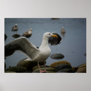 Afdrukken niet storen poster