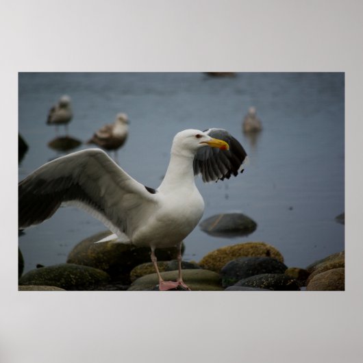 Afdrukken niet storen poster (Voorkant)
