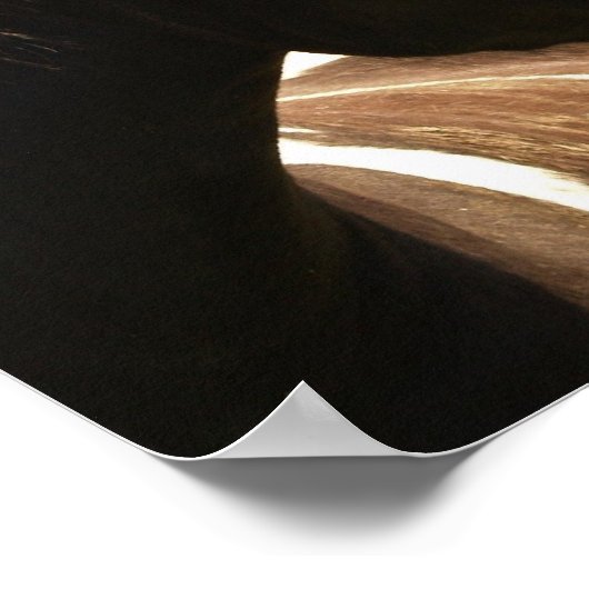 Afdrukken ontwerp-paard voor Poster (Hoek)