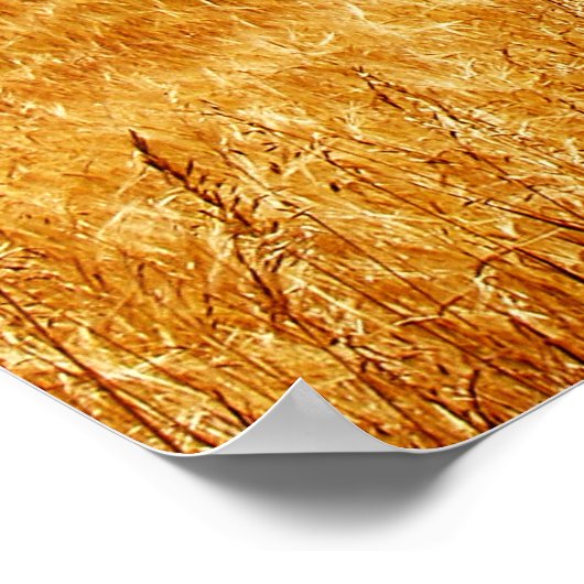 Afdrukken op ambergolven poster (Hoek)