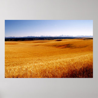 Afdrukken op ambergolven poster