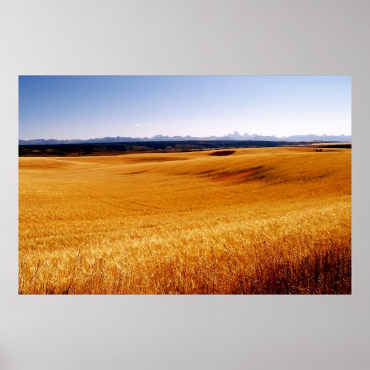 Afdrukken op ambergolven poster (Voorkant)