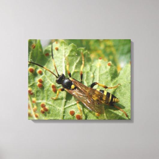 Afdrukken overvliegcanvas (Voorkant)