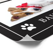 Afdrukken Paw | Multifoto Pet Dog of Puppy Poster (Hoek)