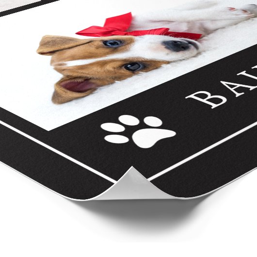 Afdrukken Paw | Multifoto Pet Dog of Puppy Poster (Hoek)