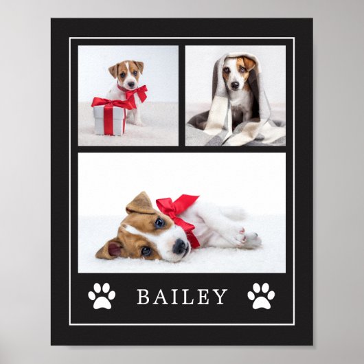 Afdrukken Paw | Multifoto Pet Dog of Puppy Poster (Voorkant)