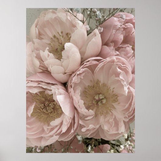 AFDRUKKEN | Peonies II - 24 x 32 inch Poster (Voorkant)