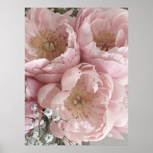 AFDRUKKEN | Peonies III - 24 x 32 inch Poster (Voorkant)