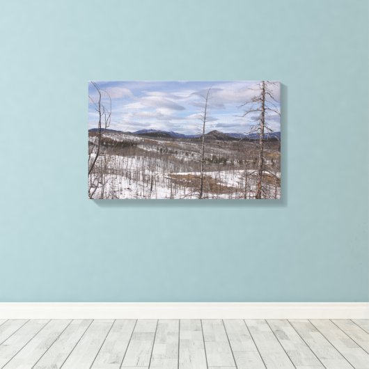 Afdrukken Pike Forest Canvas (Insitu (Houten vloer))