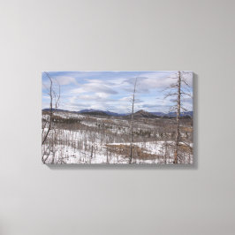 Afdrukken Pike Forest Canvas