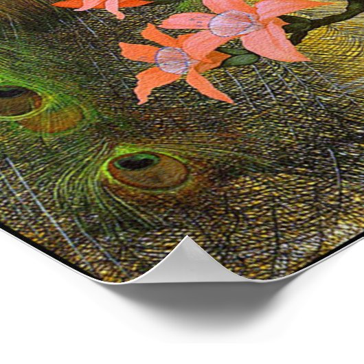 Afdrukken poster: blauw pacock poster (Hoek)