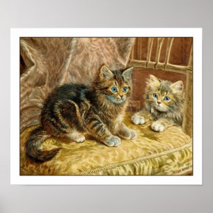 Afdrukken Poster kiitten: katten