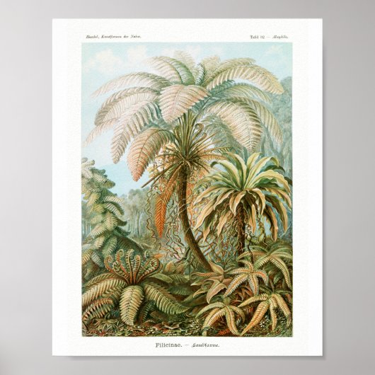 Afdrukken, Poster papier van waarde (Mat) (Voorkant)