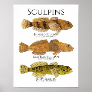 Afdrukken, Poster papier van waarde (Matte)