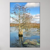 Afdrukken poster: twee bomen als één poster (Voorkant)