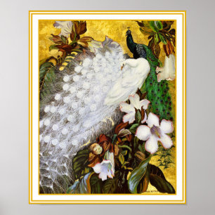 Afdrukken poster: White en Blue Peacock Poster