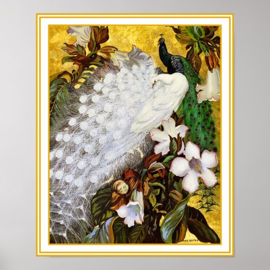 Afdrukken poster: wit en blauw pacock poster (Voorkant)