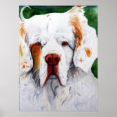 Afdrukken - Rente - Clumber Spaniel Poster (Voorkant)