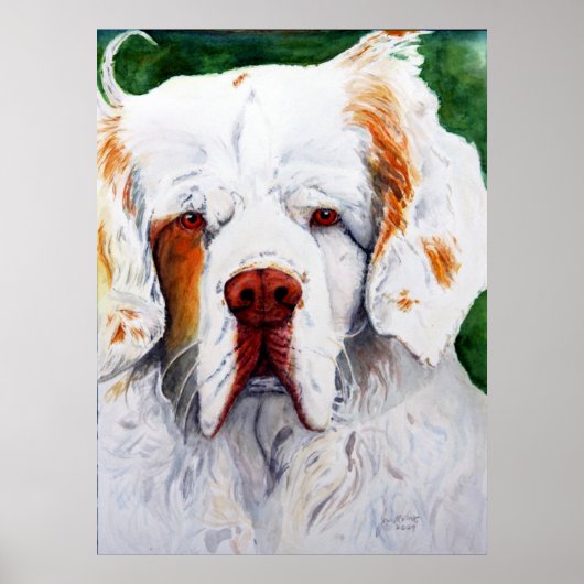 Afdrukken - Rente - Clumber Spaniel Poster (Voorkant)