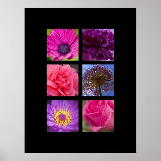 Afdrukken - Roze en paarse bloemen Poster (Voorkant)
