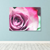 Afdrukken Sorbet Stretched Canvas (Insitu (Houten vloer))