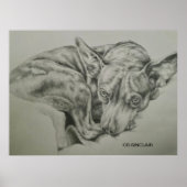 Afdrukken, steen )ONTMOET SAM van CR Sinclair Poster (Voorkant)