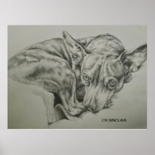 Afdrukken, steen )ONTMOET SAM van CR Sinclair Poster