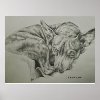 Afdrukken, steen )ONTMOET SAM van CR Sinclair Poster