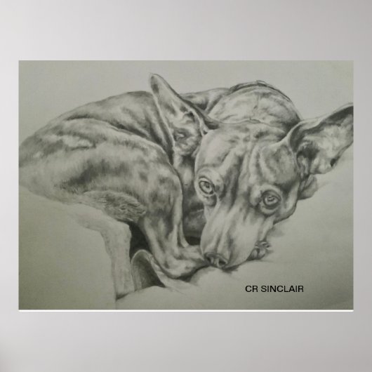 Afdrukken, steen )ONTMOET SAM van CR Sinclair Poster (Voorkant)