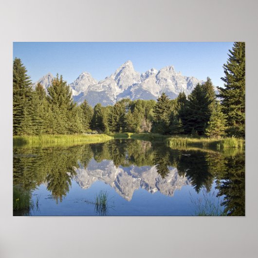Afdrukken - Tetons Reflection Poster (Voorkant)