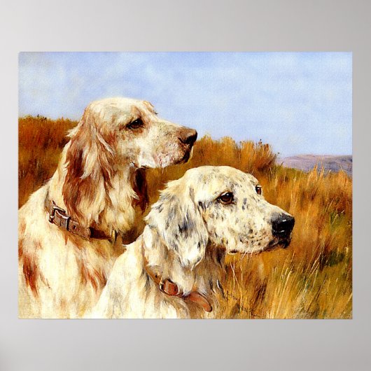 Afdrukken: Twee setters van Arthur Wardle Poster (Voorkant)