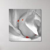 Afdrukken van Aeolian Waterverf Canvas (Voorkant)