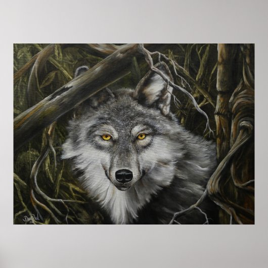 Afdrukken van Afbeelding van Watchful Eyes Wolf Poster (Voorkant)