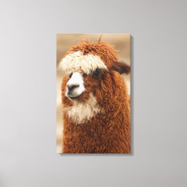 Afdrukken van alpaca canvas