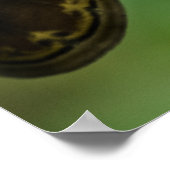 Afdrukken van atlas poster (Hoek)